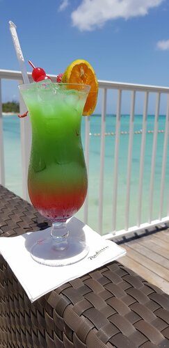 Гостиница Radisson Aquatica Resort Barbados в Бриджтауне