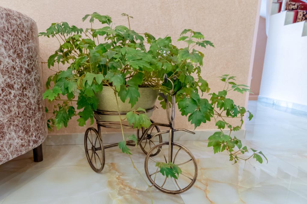 Фото Коржовъ