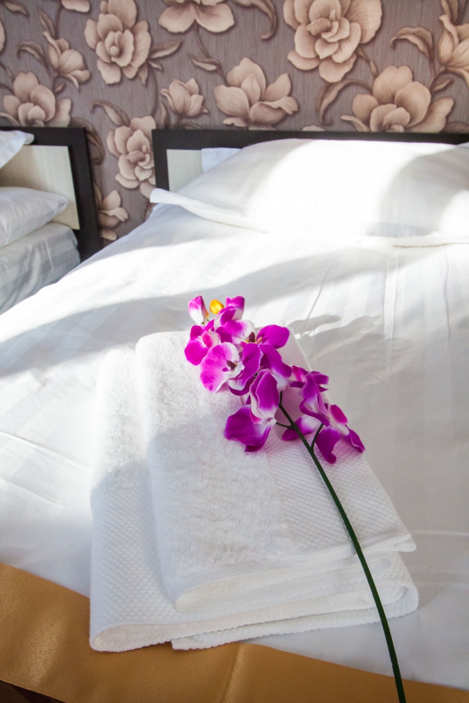 Фото Солнечная Сортировка