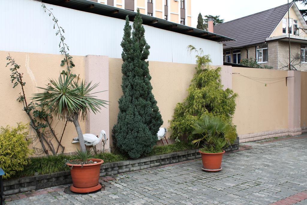 Фото Виктория