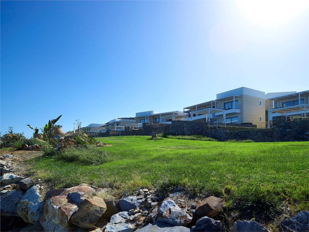 Фото The Royal Blue