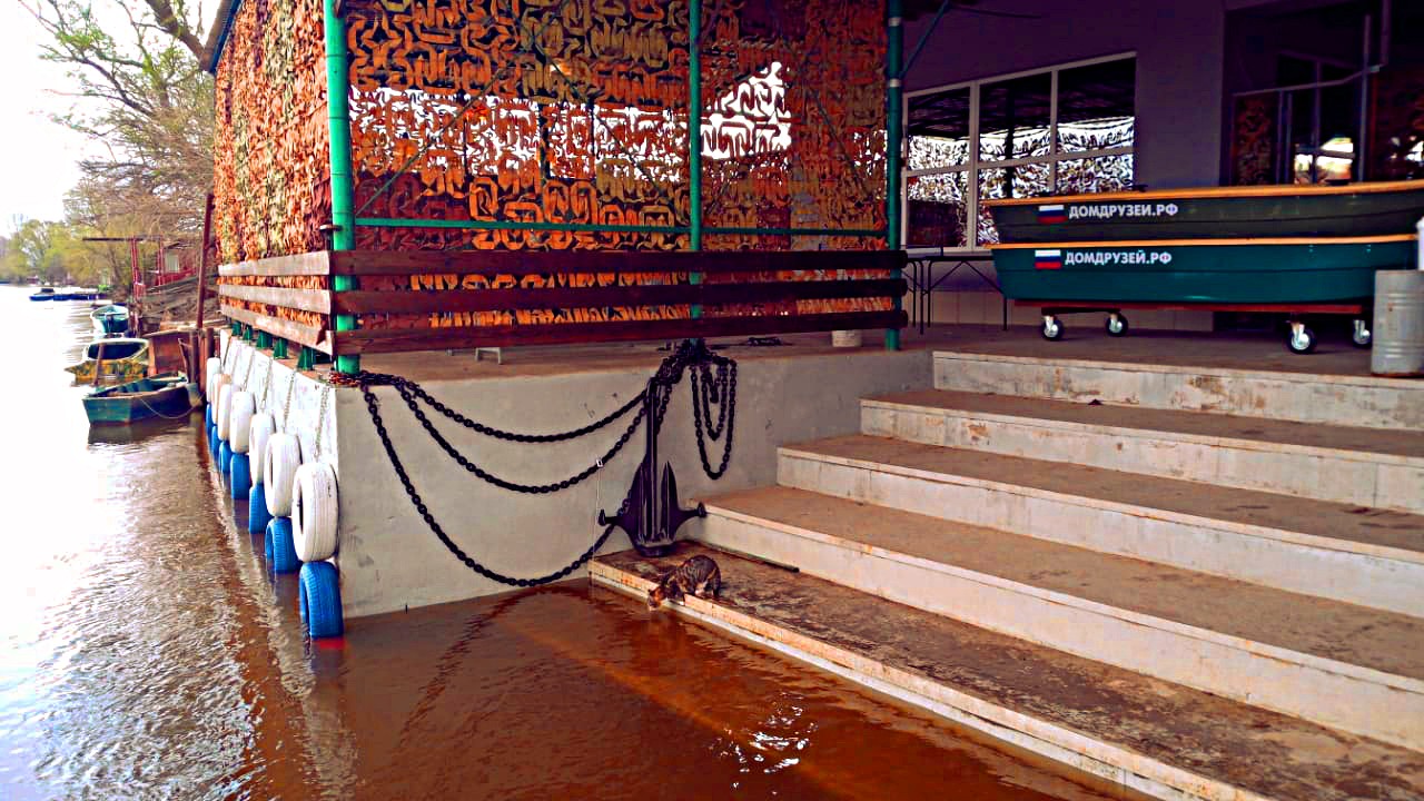 Фото Домдрузей.рф