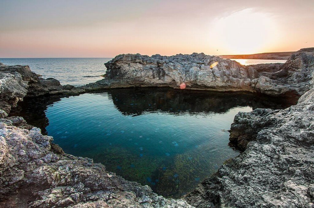 Крым оленевка на берегу моря