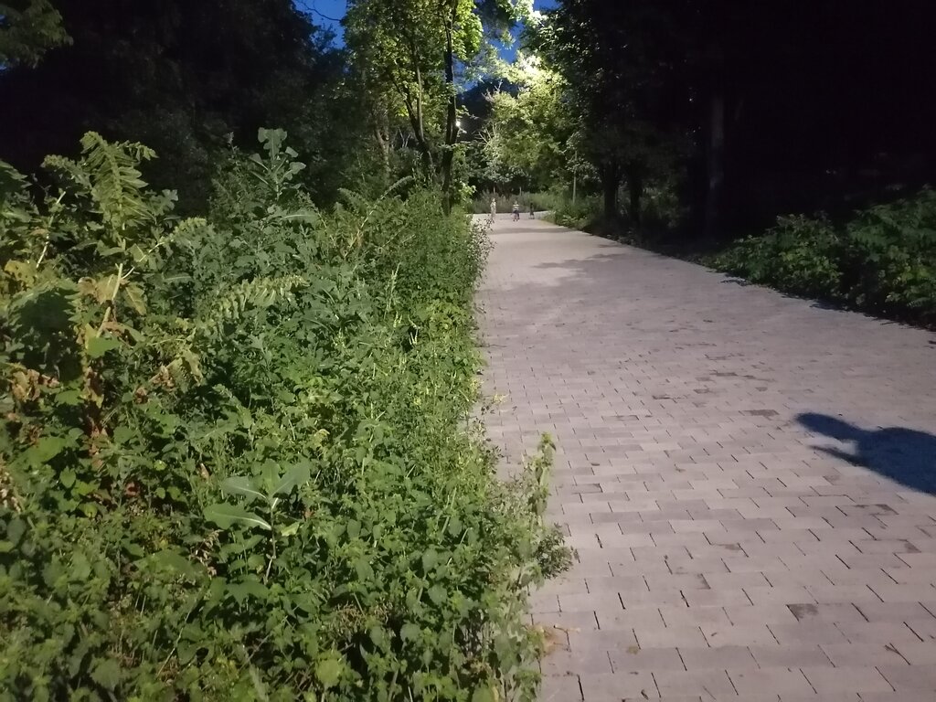 Ростов на дону парк собино