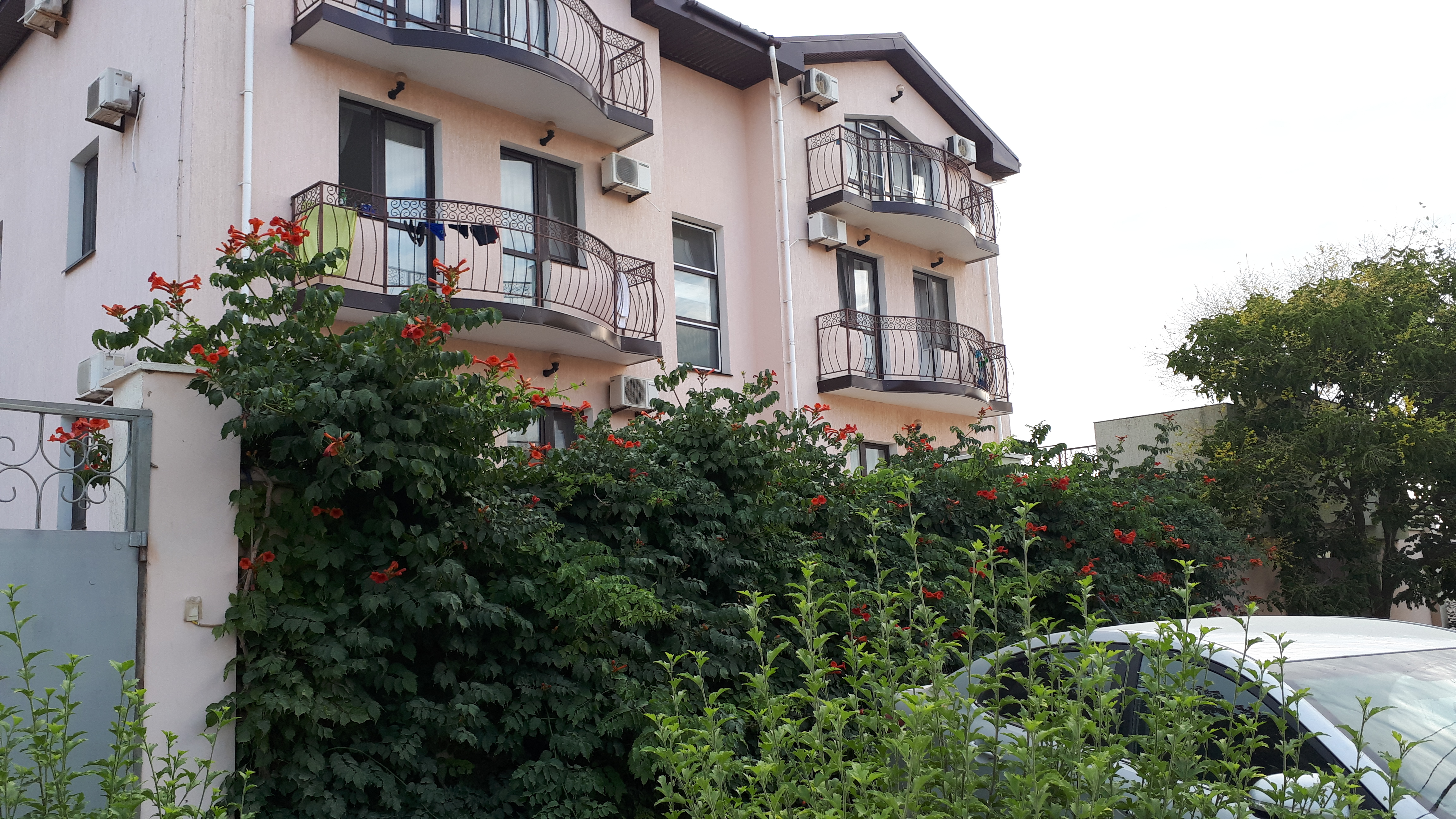 Фото Свет маяка