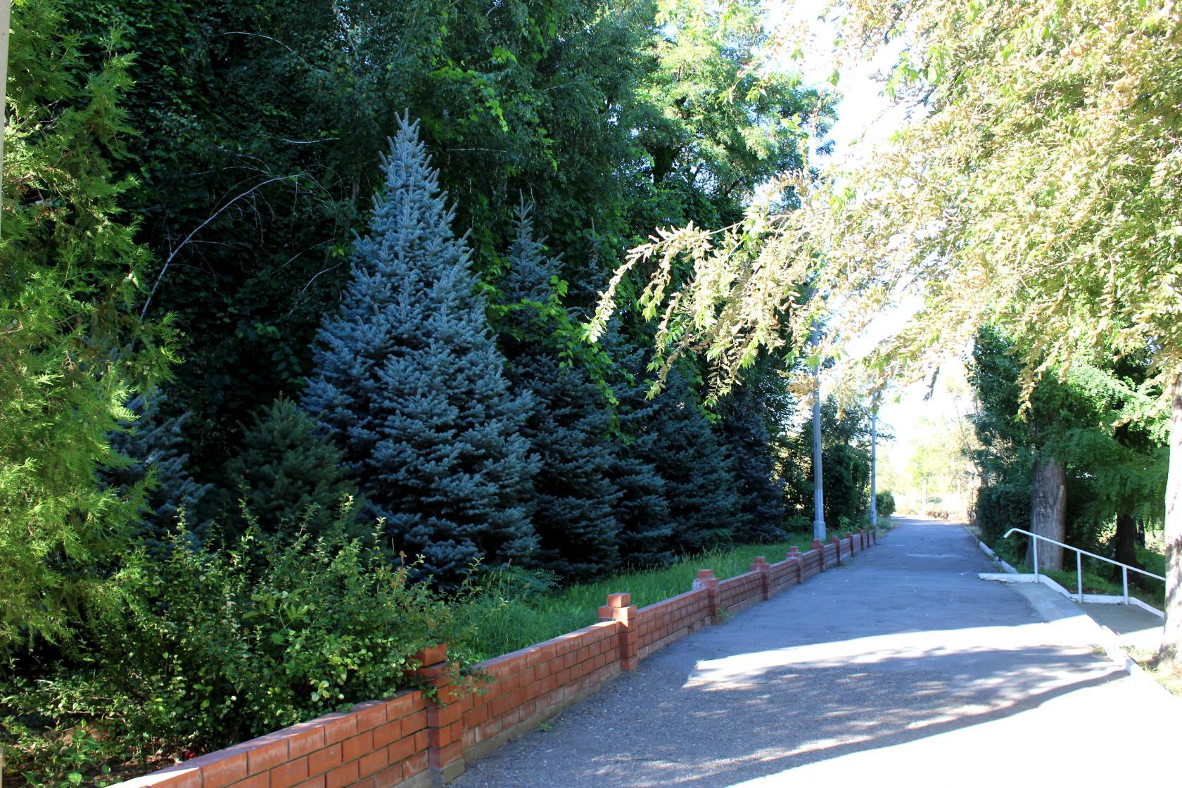 Фото Волжская Здравница