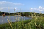 Sanatorium Lipovka kursovki (posyolok Lipovka, 1) ، منتجع
