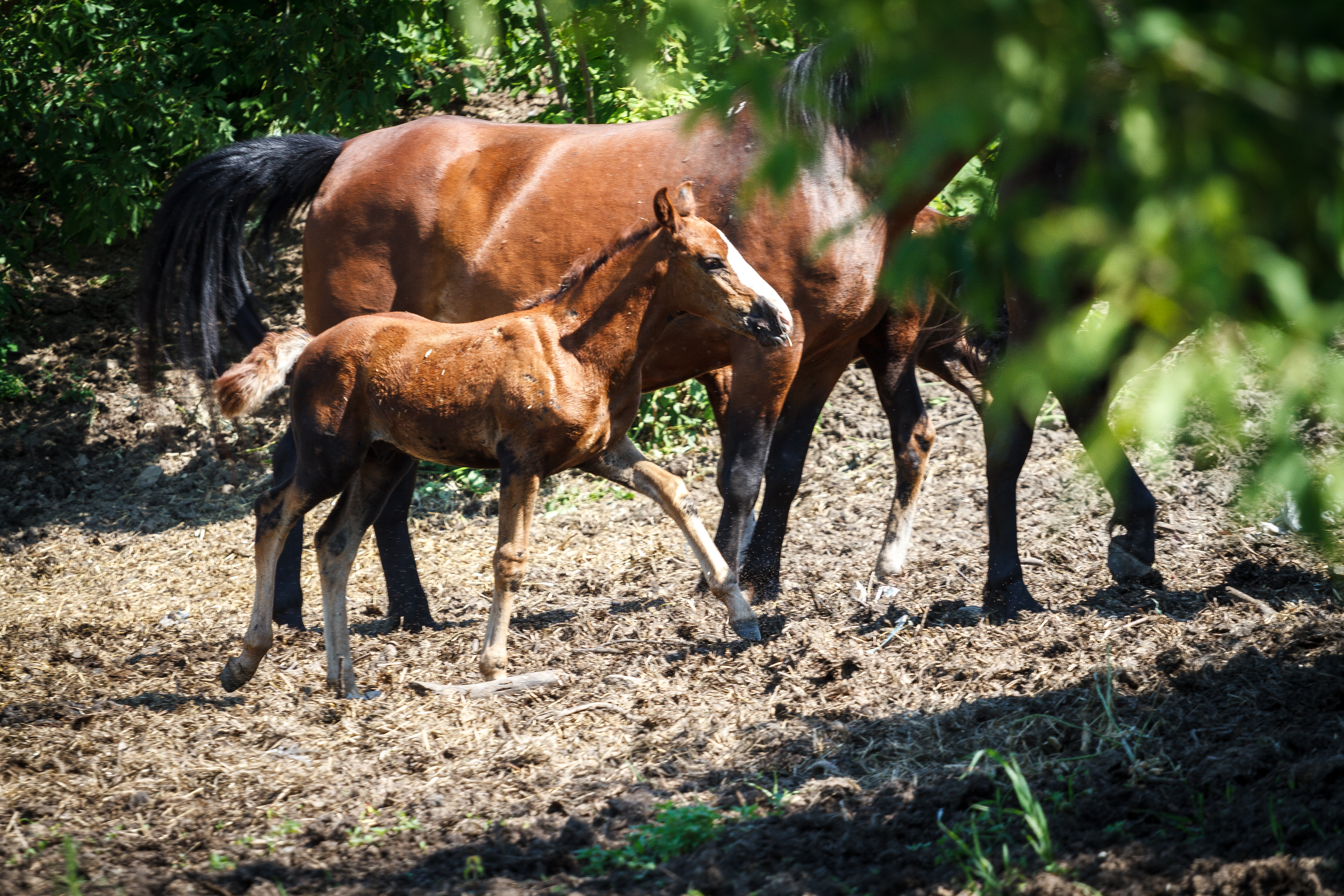 Фото Санаторий Бакирово