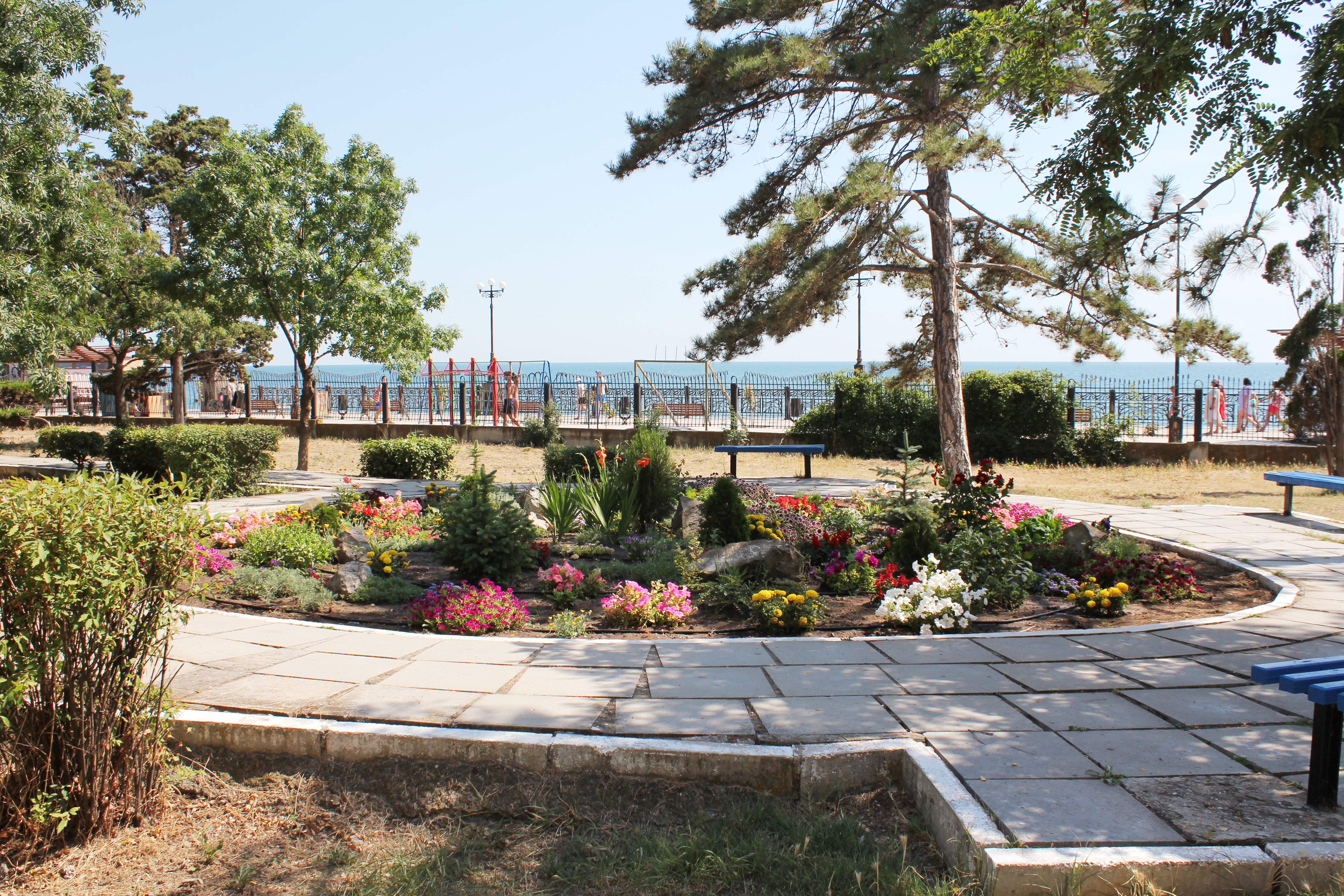 Фото ТОК Судак