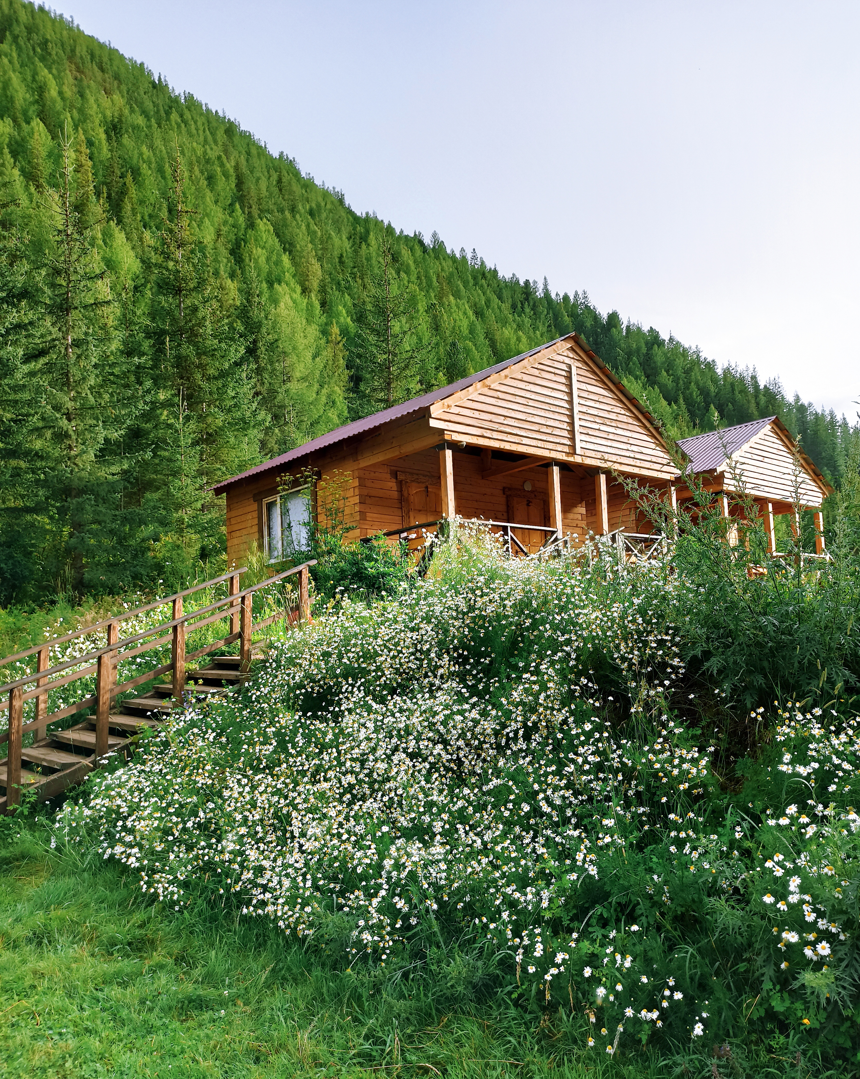 Фото Красные ворота