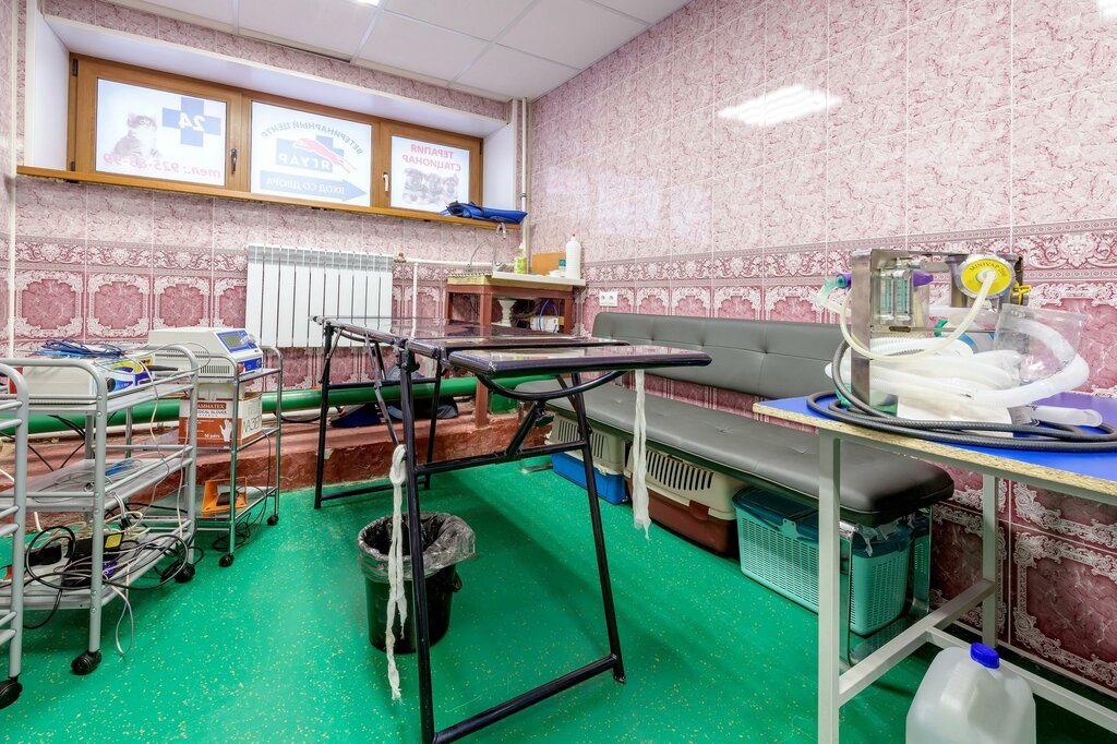 Ветеринарная клиника Ягуар, Санкт‑Петербург, фото