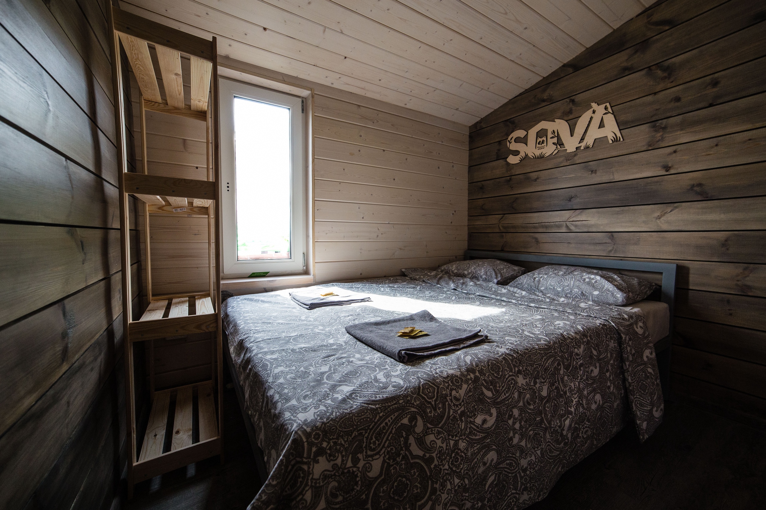 Фото Сова Сойкино