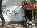 Qlassiq flowers (Auezov Street, 116), flower shop