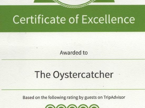 Фото The Oystercatcher