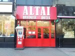 Altai (Tole Bi Street, 142), hotel
