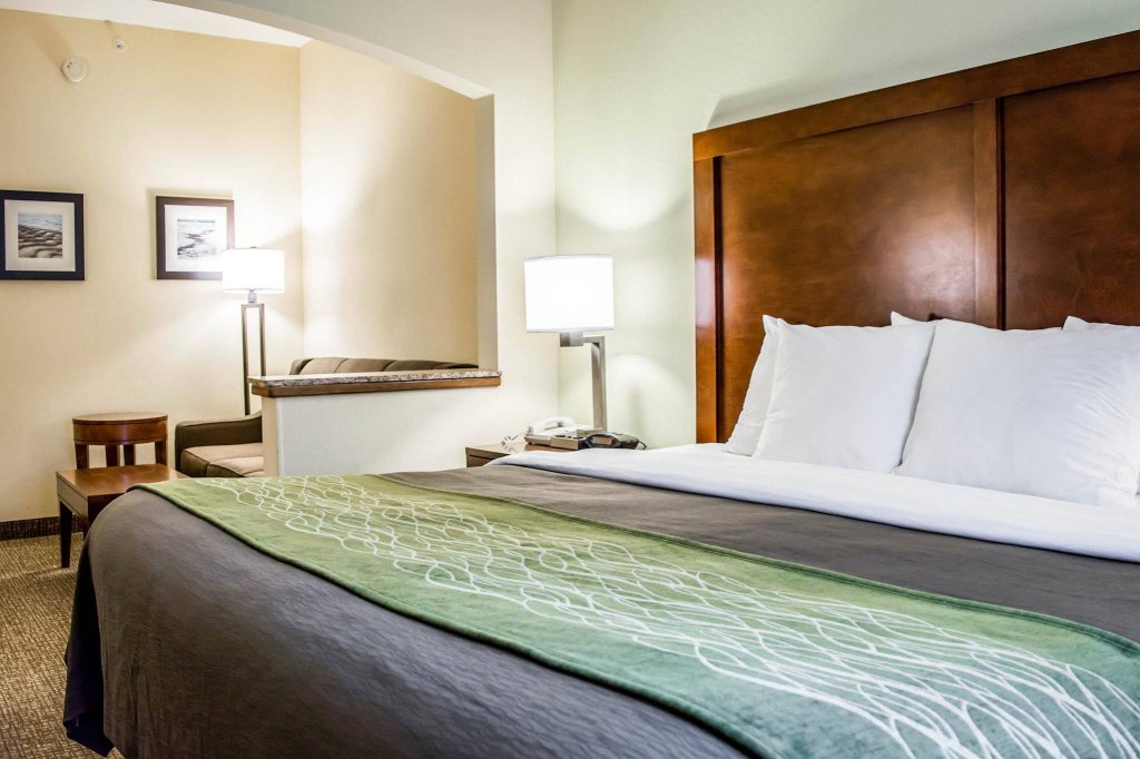 Фото Comfort Inn Fort Myers Northeast