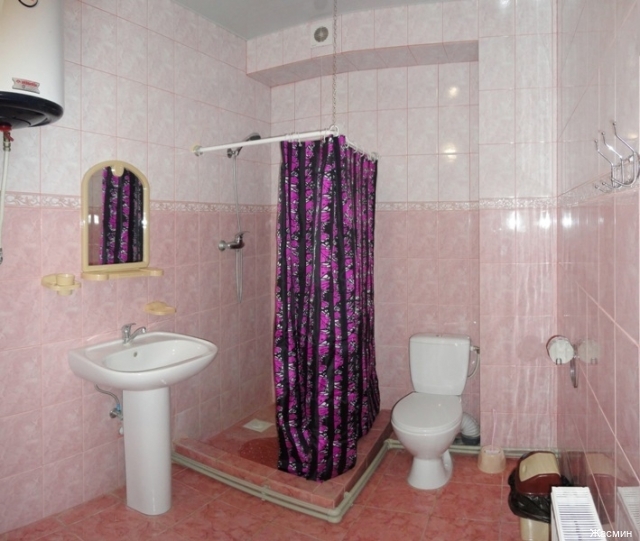 Фото Жасмин