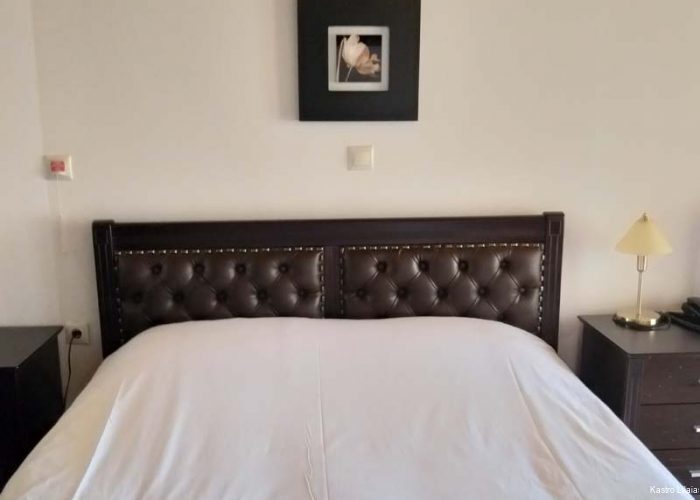 Фото Kastro Lilaias