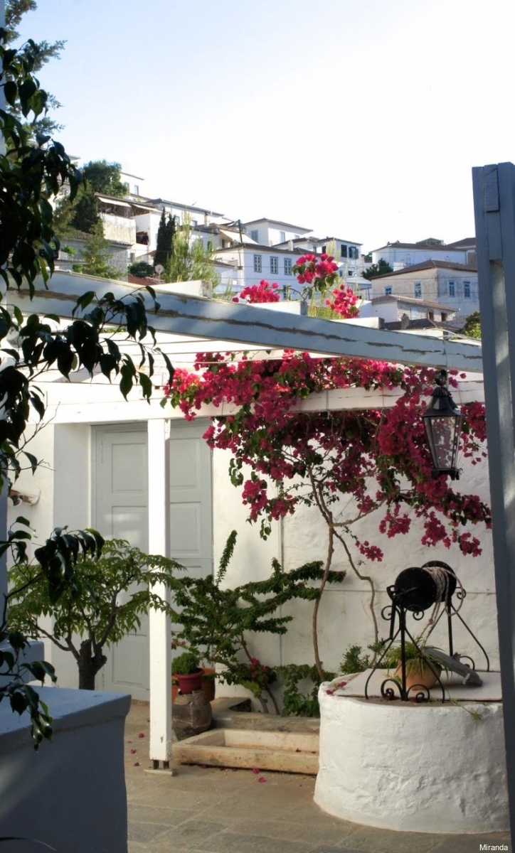 Фото Miranda Hotel