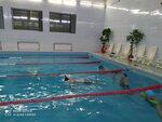 Absolyut (Vidnoye, District of Rastorguevo, Olginskaya Street, 20), sports hall, gym