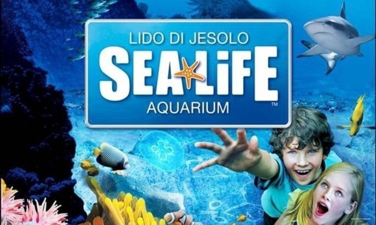 Фото Hotel Plaza Esplanade