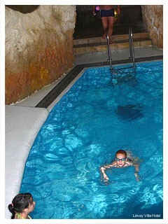 Фото Levay Villa Hotel