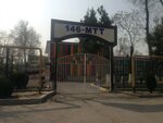Kindergarten № 146 (Tashkent, Almazar District, Karakamysh Residential Area, 2/4-mavze, 38A), kindergarten, nursery