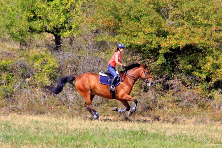 Фото База активного отдыха СВХ