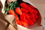 Мега Тюльпаны - тюльпаны оптом и в розницу на 8 марта (просп. Бардина, 21, Новокузнецк), оптовая компания в Новокузнецке