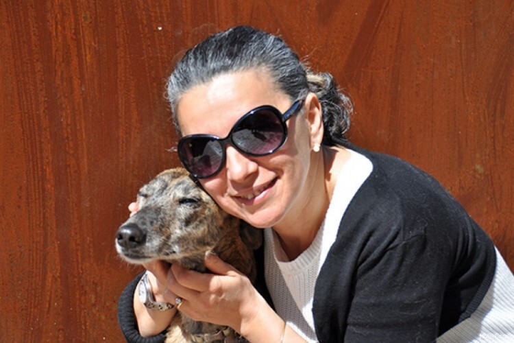 Фото Hotel Corallo Rimini