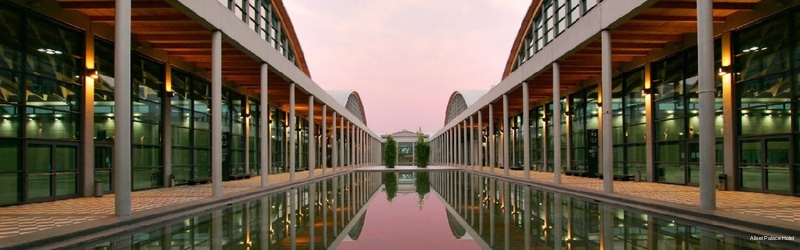 Фото Alisei Palace Hotel