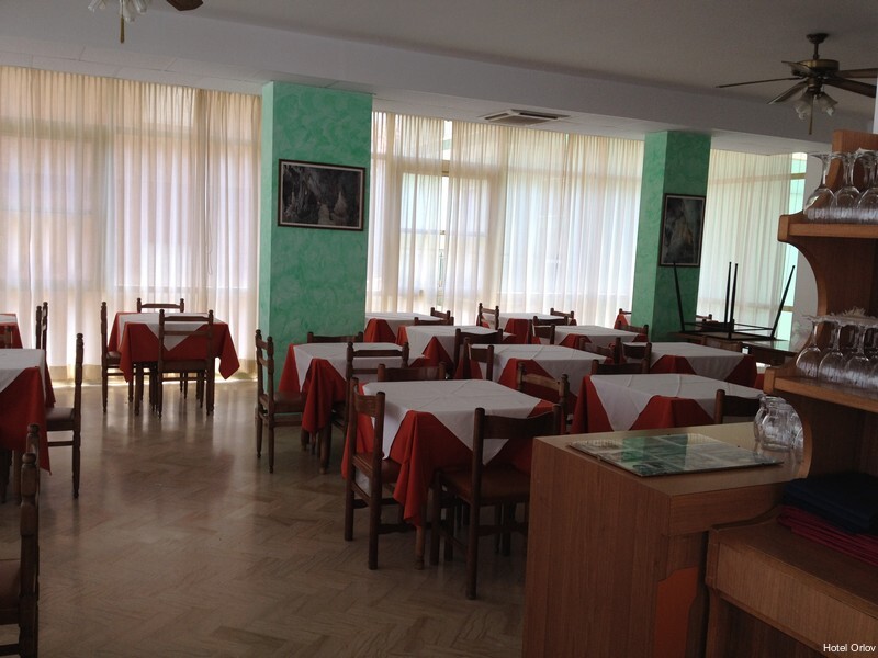 Фото Hotel Orlov