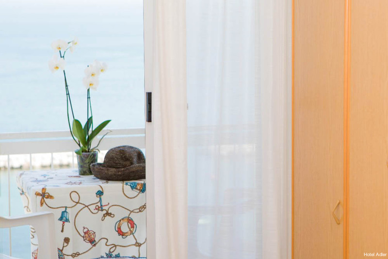 Фото Hotel Adler