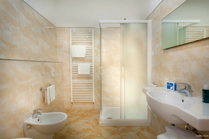 Фото Hotel Milano Helvetia