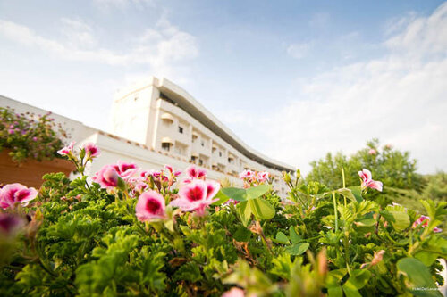 Гостиница Hotel Del Levante