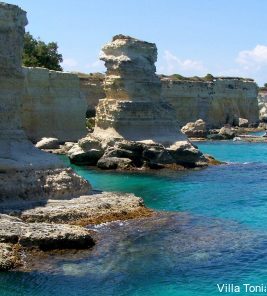 Фото Villa Tonia