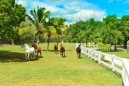 Санаторий Maritim Resort & SPA Mauritius