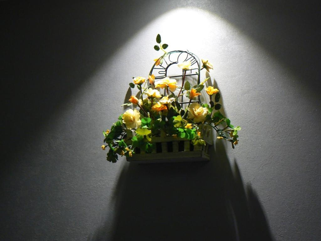 Фото Набат Палас