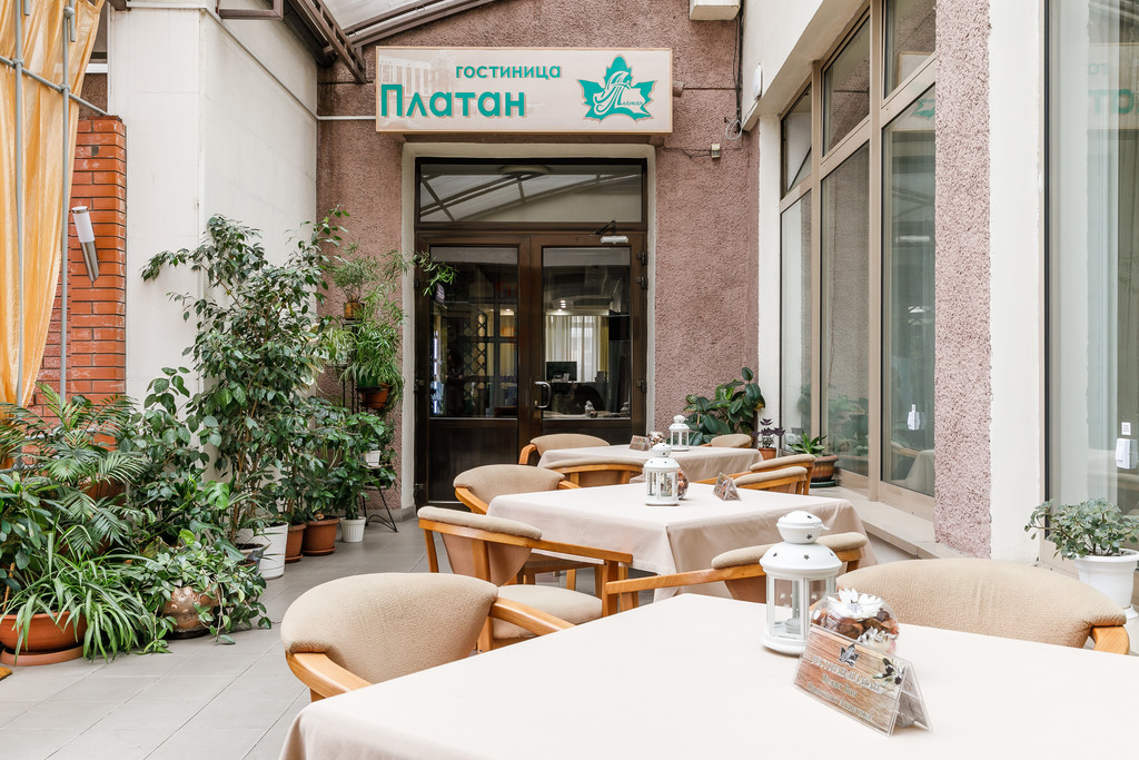 Фото Платан