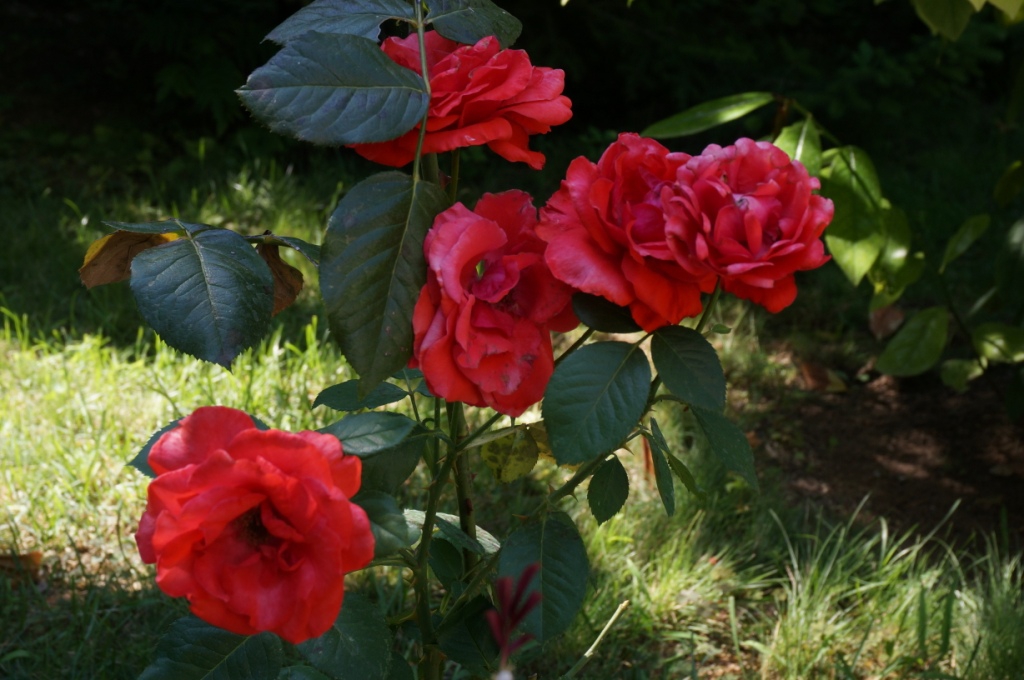 Фото Гостевой дом K&t