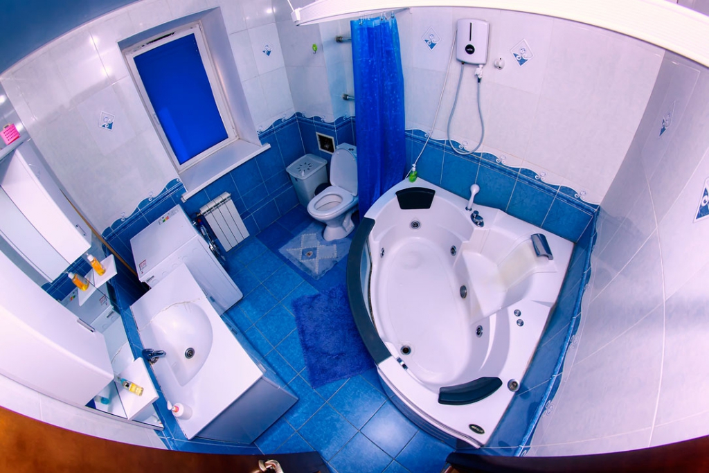 Фото Какаду