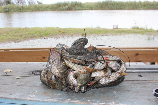 Фото Митричево