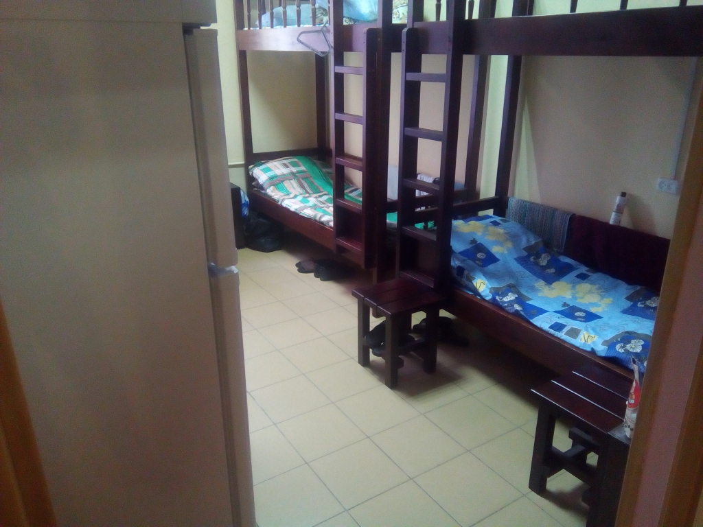 Фото Вежливый лось