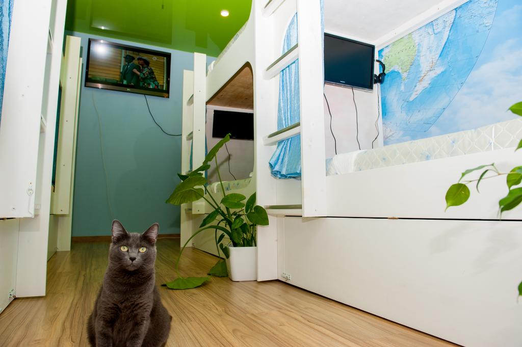 Фото Зелёная Лампа