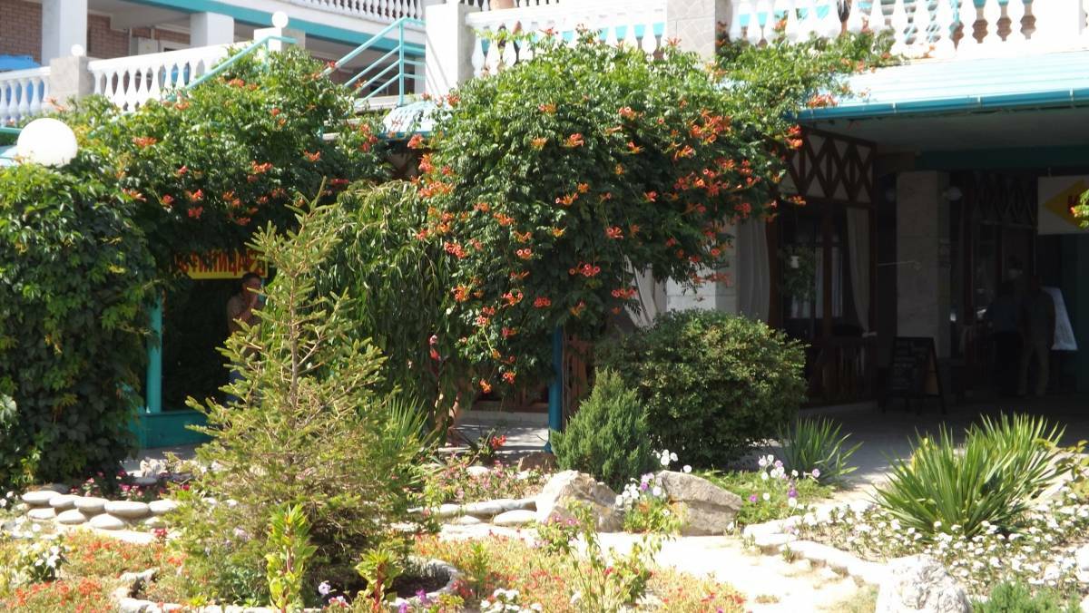 Фото Новинка