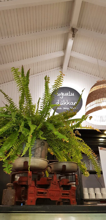 Cafe Ugurlu Shop Cafe, Sapanca, photo