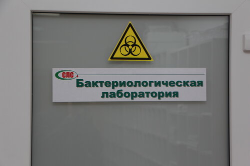 Себебі мен секс видеосын алғым келеді