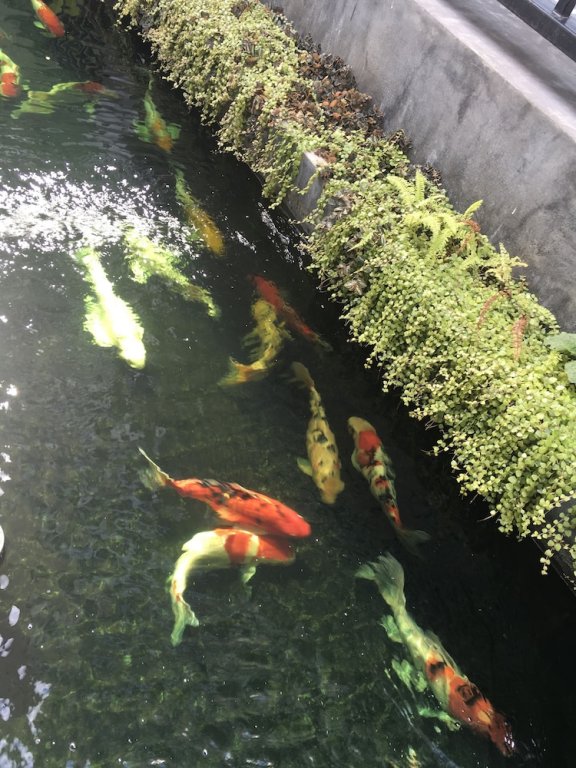 Фото Phetcharat Grand Hotel Maesot