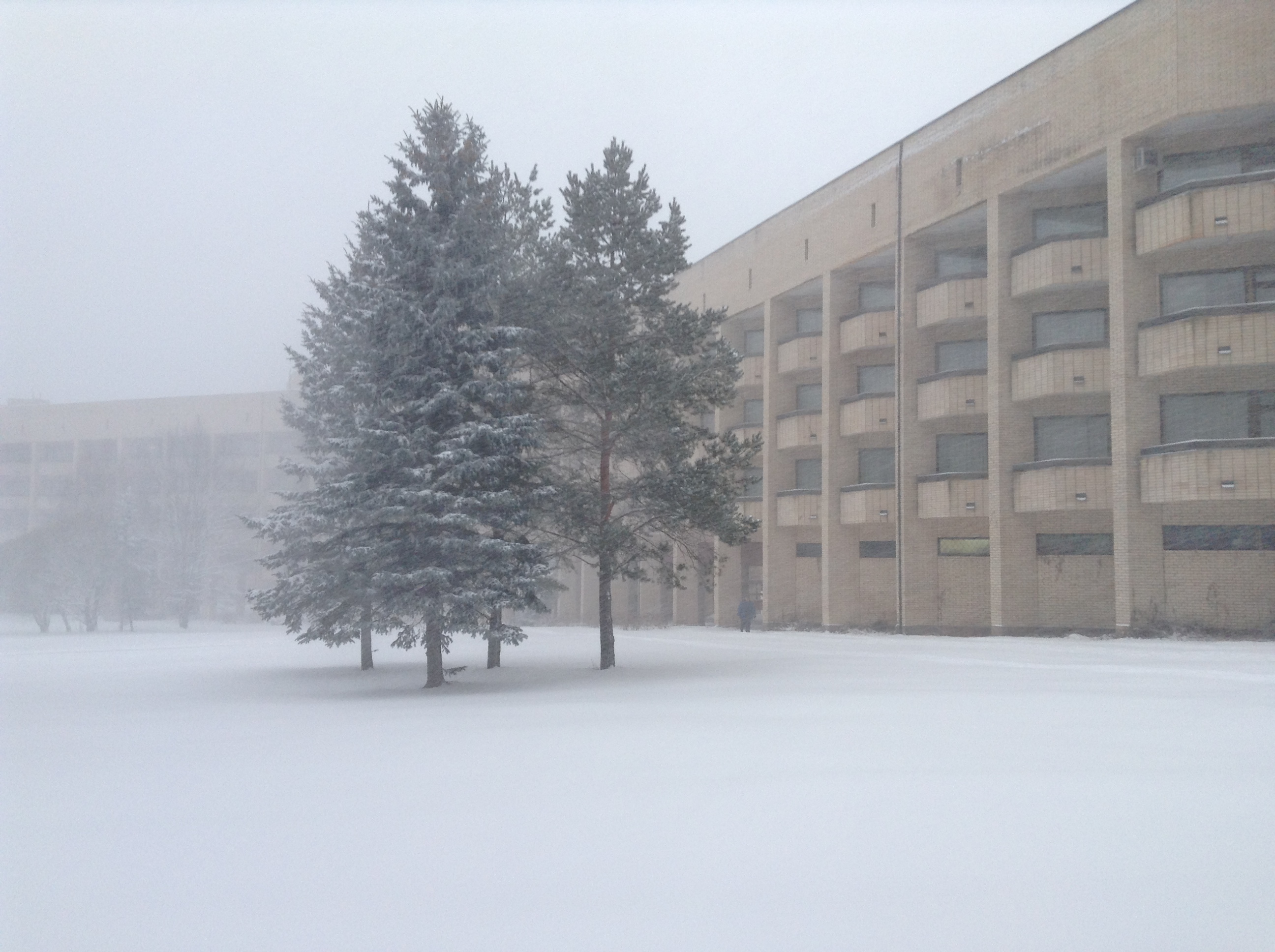 Фото Введенское