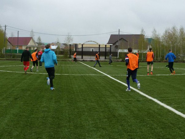 Фото Иволга